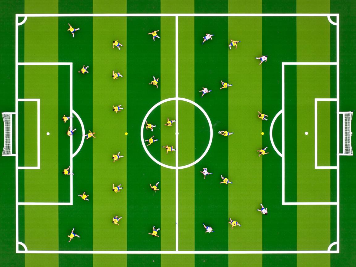 九游官网入口充值-中国游泳队奥运训练进入节奏控制阶段,中国游泳队奥运比赛结果 第3张