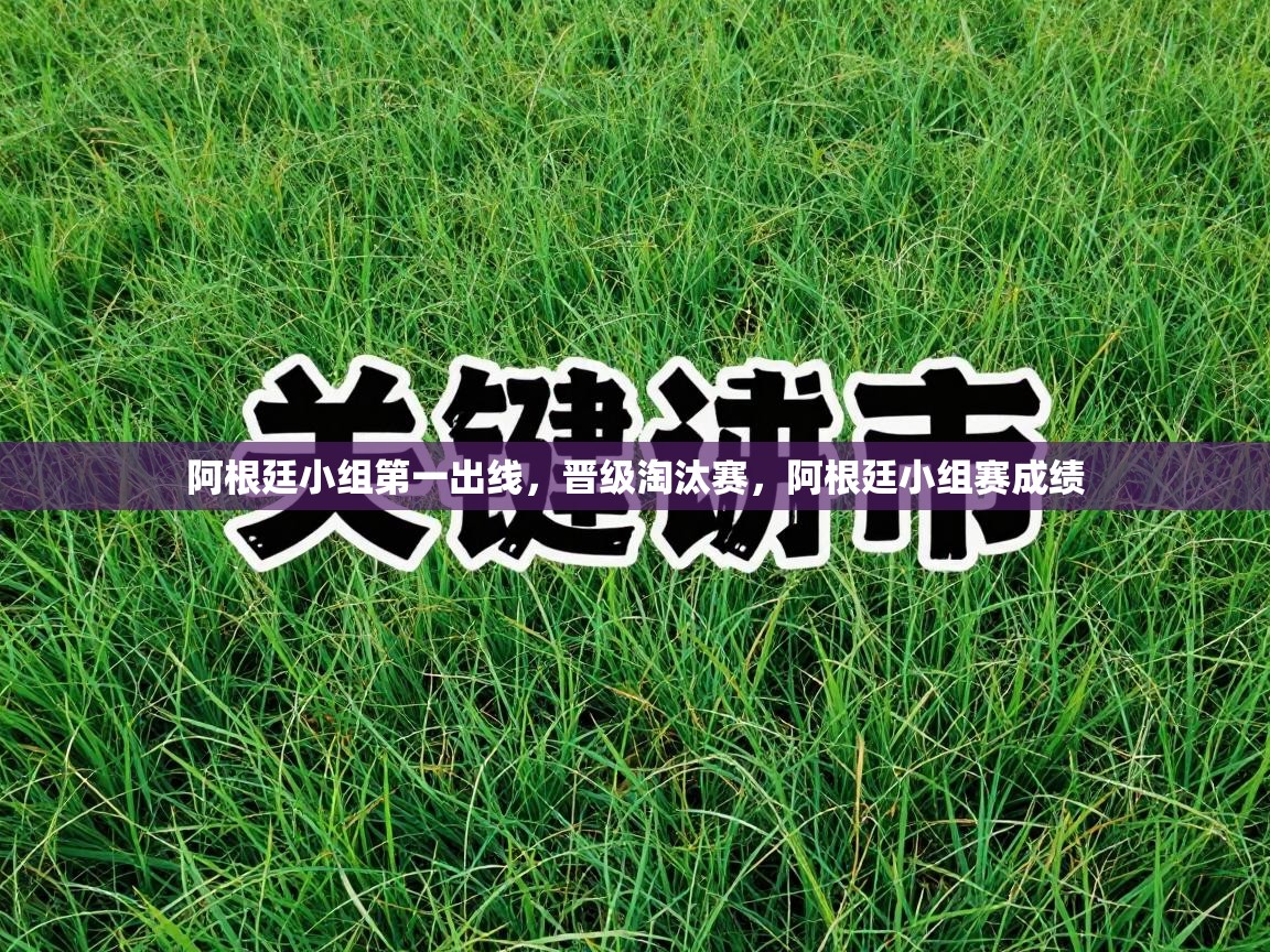 阿根廷小组第一出线,晋级淘汰赛,阿根廷小组赛成绩 第1张