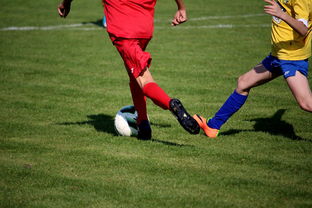 九游娱乐官方平台-“拳王争霸：四川省体育馆拳击赛将诞生新的世界拳王”