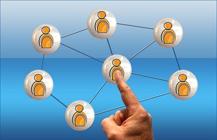 九游官网入口活动-体育新闻中心联合高校开展体育传媒创新创业大赛，体育产业创新创业大赛